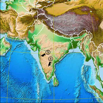 South Asia