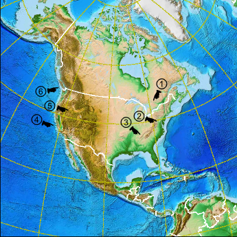 North America